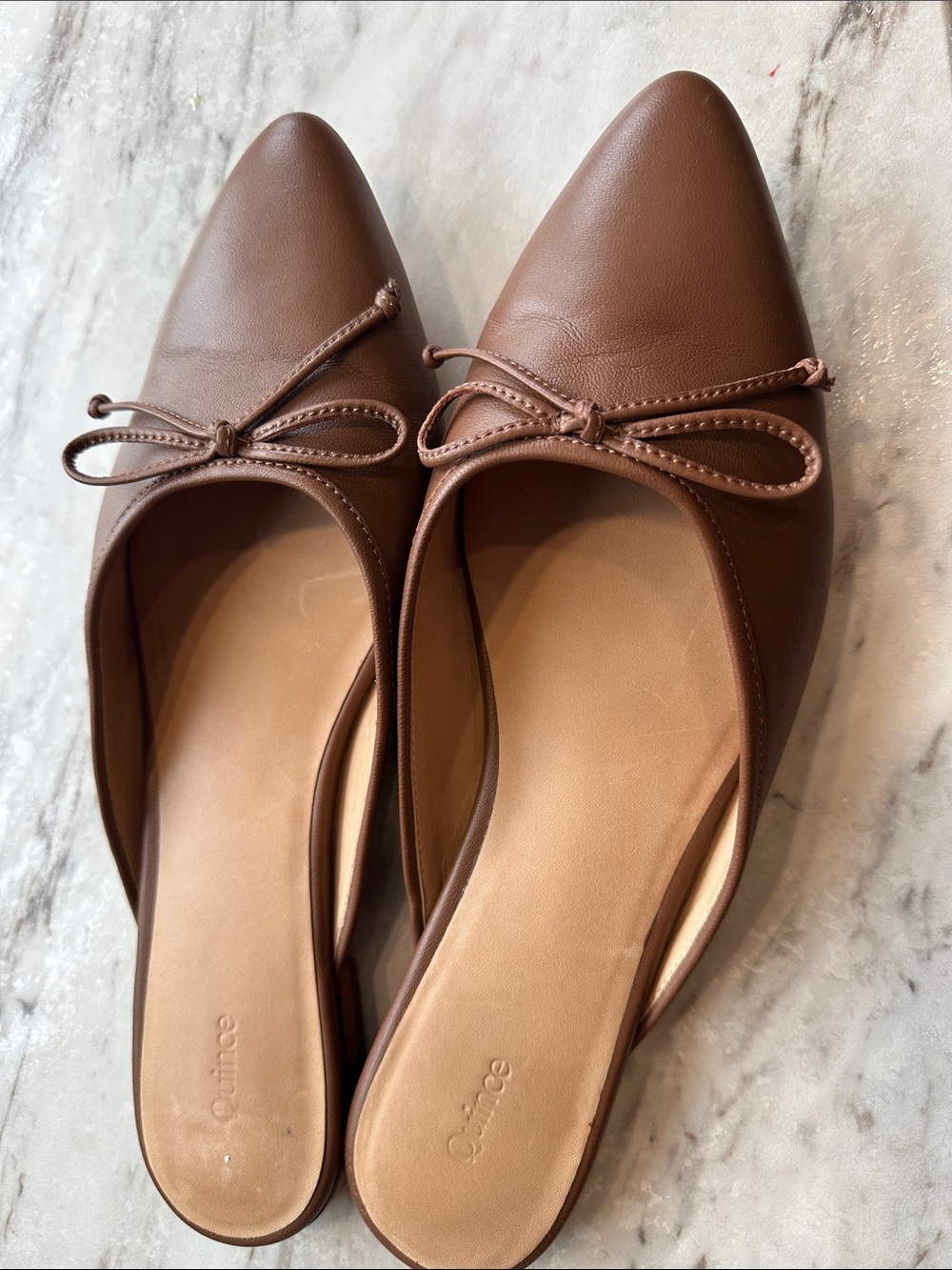 Quince Brown Pointed-Toe Bow-Trim Slip-On Mules
